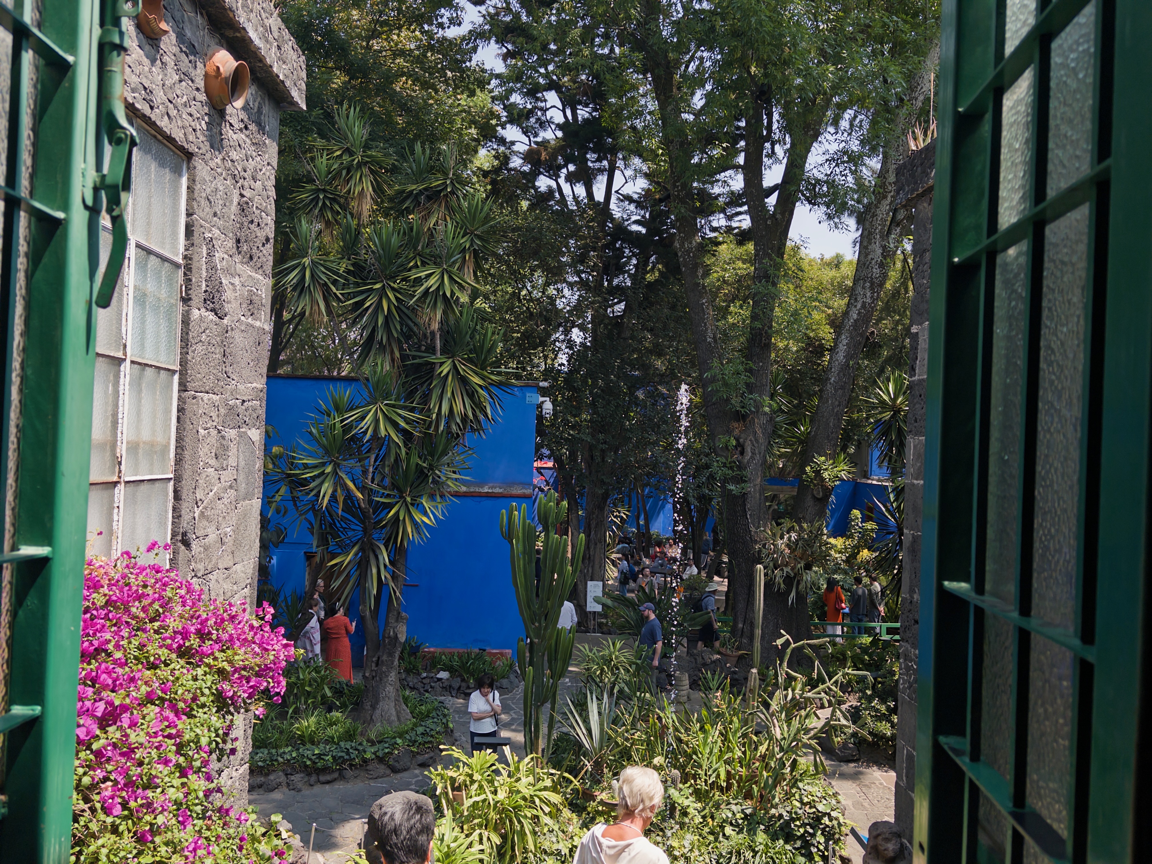 Looking through a dark-green iron gate into the courtyard of La Casa Azul in Coyoacán: cobalt-blue walls, a tall yucca and cactus, magenta bougainvillea spilling down the left, visitors walking the garden paths.