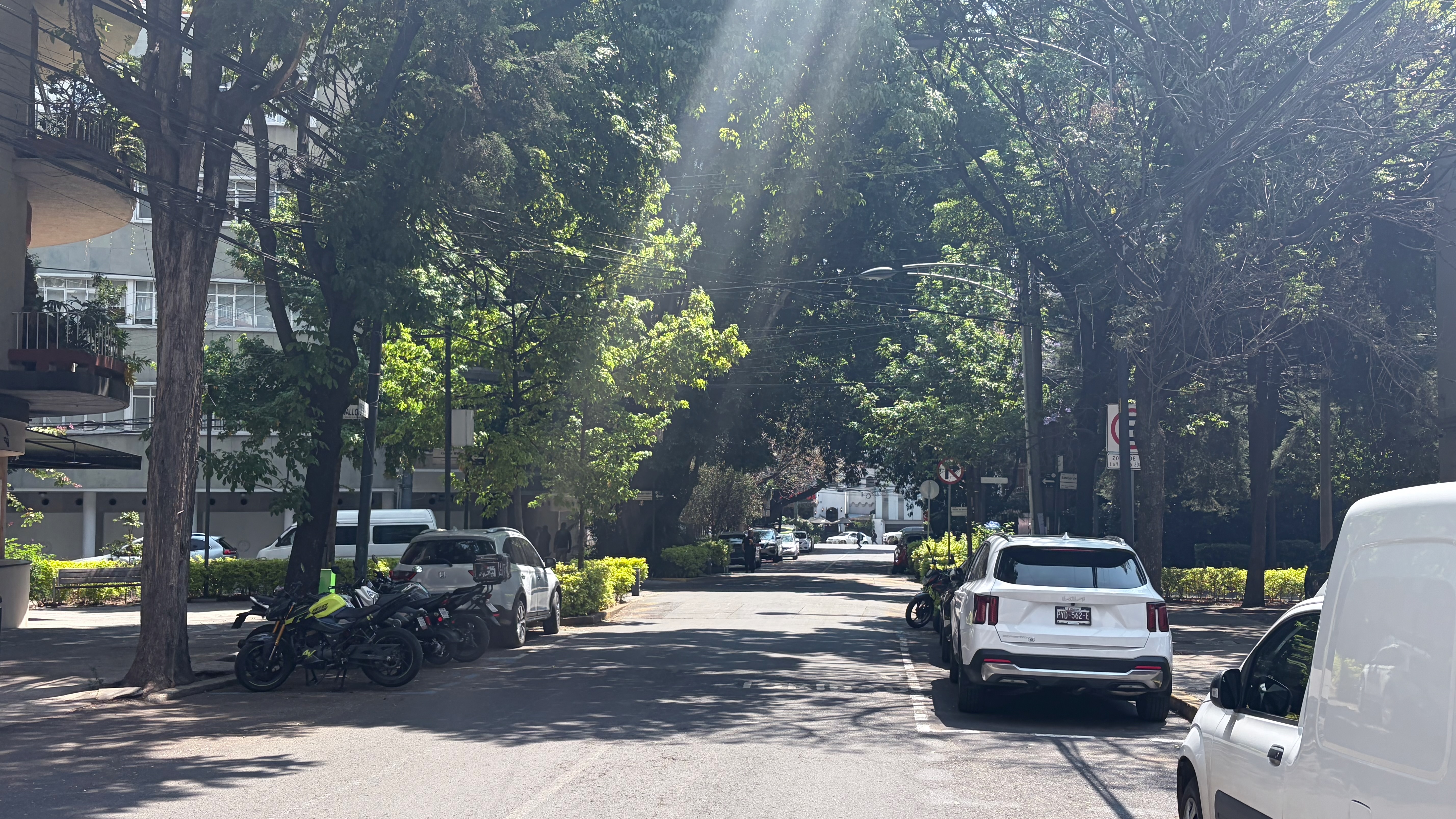 A shaded residential street in Polanco lined with tall mature trees whose canopies filter strong midday sunlight into rays. Motorcycles and a white SUV are parked along the left curb, another white SUV and a white van occupy the right side, and a no-entry traffic sign is visible mid-block on the right. Low trimmed hedges run along a central median in the distance.