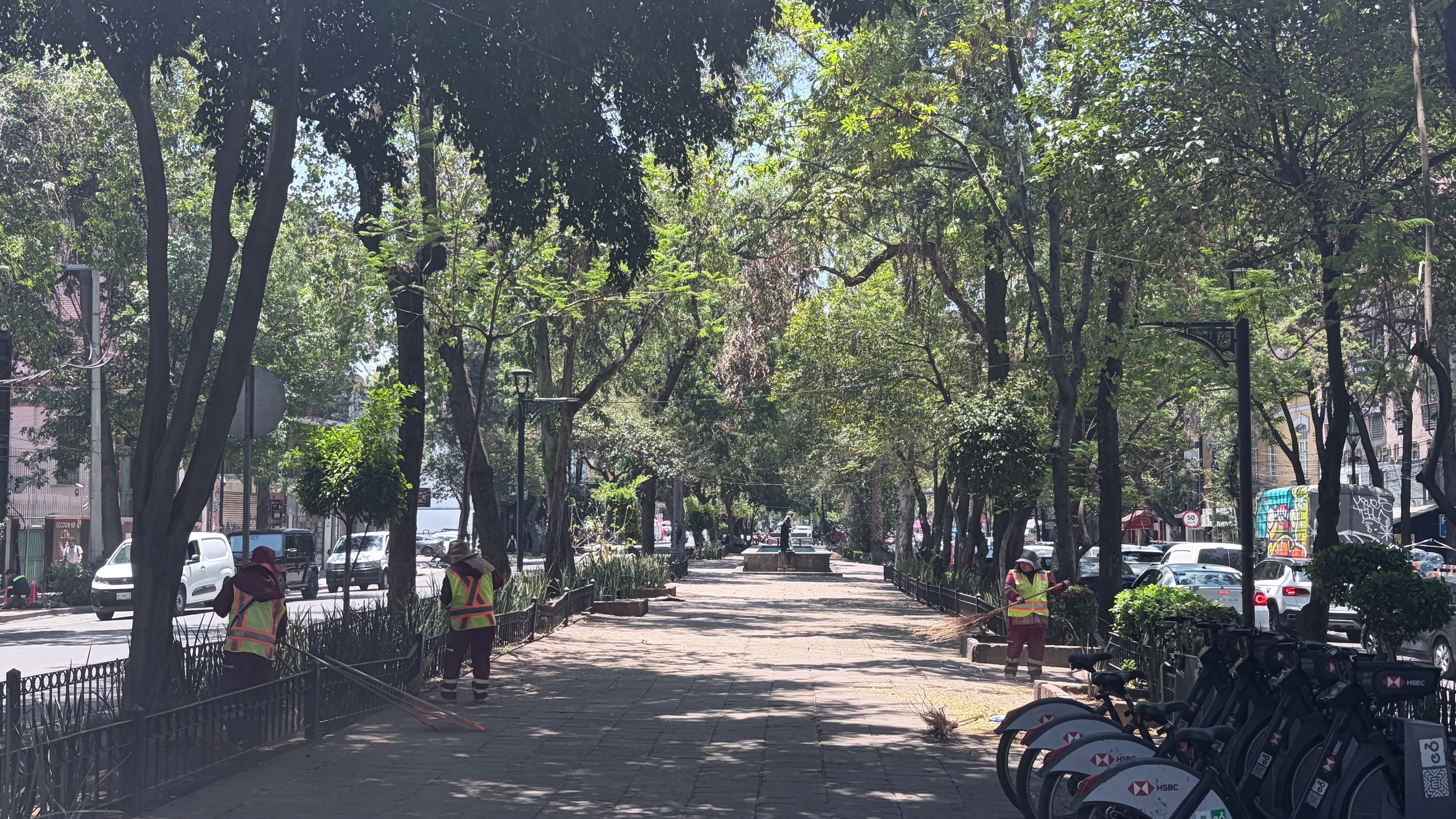 A wide tree-lined pedestrian median in Mexico City, likely along Álvaro Obregón or a similar boulevard in Roma, on a sunny midday. Three workers in orange safety vests and wide-brimmed hats sweep and tend the path, which is flanked by iron fencing, planted beds of agave, and ornamental lampposts. An HSBC bike-share dock with several bicycles is visible at the right edge; cars and a white van pass on the streets to either side.
